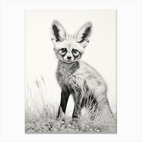 Bat Eared Fox In A Field Pencil Drawing 5 Canvas Print