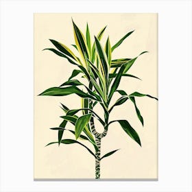 Dracaena Plant Minimalist Illustration 5 Canvas Print