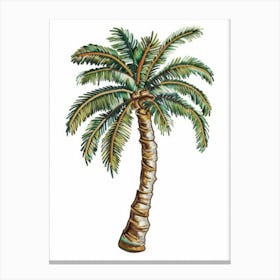 Palm Tree 35 Canvas Print