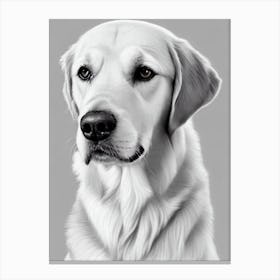 Golden Retriever B&W Pencil dog Canvas Print