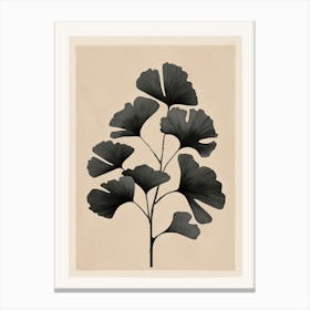 Branch Of Ginkgo Biloba 1 Canvas Print