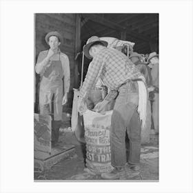 Sewing Up Sack Of Potatoes, Klamath County, Oregon By Russell Lee Canvas Print