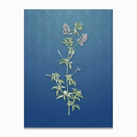Vintage Spanish Clover Bloom Botanical on Bahama Blue Pattern n.1759 Canvas Print