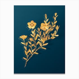 Vintage Vintage Rosa Persica Botanical in Gold on Teal Blue n.0284 Canvas Print