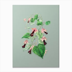 Vintage Twinning Red Cloak Flower Botanical Art on Mint Green n.0630 Canvas Print