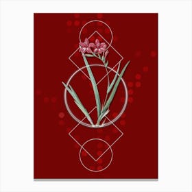 Vintage Gladiolus Cardinalis Botanical with Geometric Line Motif and Dot Pattern n.0356 Canvas Print