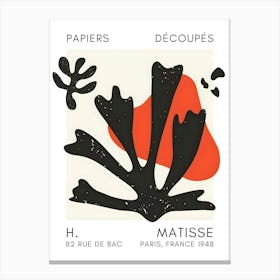 H Matisse 10 Canvas Print