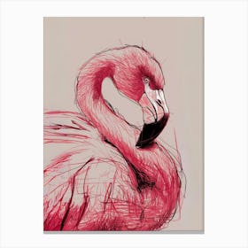 Flamingo Canvas Print