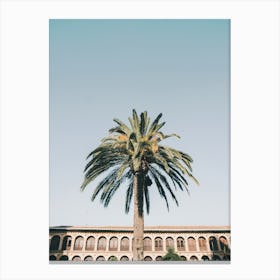 Granada Palm Tree Canvas Print