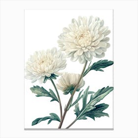 White Flower On White Toile