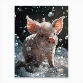 Pig In Water Canvas Print