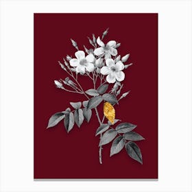 Vintage Musk Rose Black and White Gold Leaf Floral Art on Burgundy Red Canvas Print