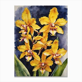 Oncidium Orchids Water Colour 1 Canvas Print