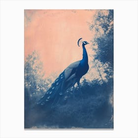 Peacock In The Wild Blue Cyanotype 1 Canvas Print