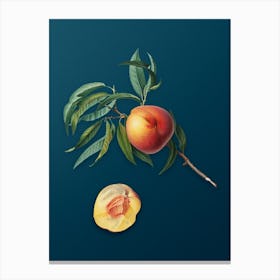 Vintage Peach Botanical Art on Teal Blue n.0583 Canvas Print