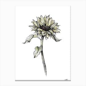 Watercolour Sunflower Right Canvas Print