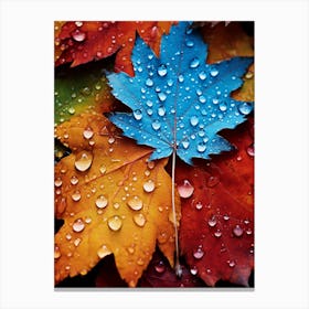 Autumn Leaves 1 Canvas Print