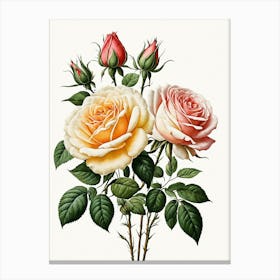 Vintage Galleria Style Rose Art Painting 18 Canvas Print