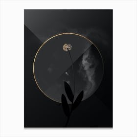 Shadowy Vintage Victory Onion Botanical on Black with Gold Canvas Print