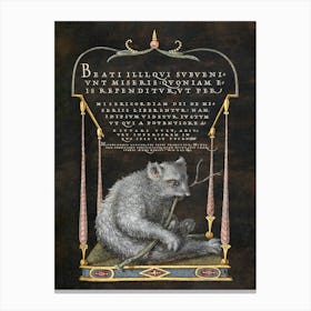 A Sloth From Mira Calligraphiae Monumenta, Joris Hoefnagel Canvas Print