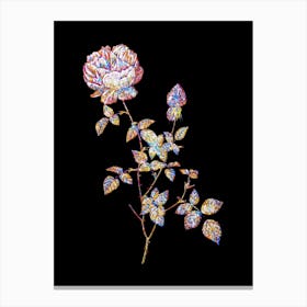Stained Glass Pink Autumn China Rose Mosaic Botanical Illustration on Black n.0318 Canvas Print