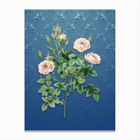 Vintage Rosier Pompon Botanical on Bahama Blue Pattern n.0007 Canvas Print