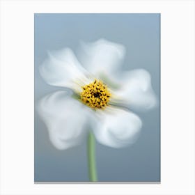 Whimsical Petals Modern Floral Photography Leinwandbilder