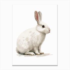 Florida White Rabbit Nursery Illustration 7 Canvas Print