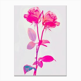 Hot Pink Rose 4 Canvas Print