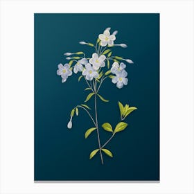 Vintage Phlox Botanical Art on Teal Blue n.0082 Canvas Print