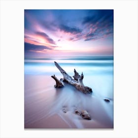 Driftwood At Sunset 1 Canvas Print