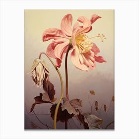 Floral Illustration Columbine 2 Canvas Print