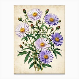 Asters Canvas Print