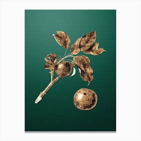 Gold Botanical Apple on Dark Spring Green n.0658 Canvas Print