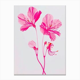 Hot Pink Peacock Flower 2 Canvas Print