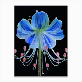 Blue Lily 1 Canvas Print