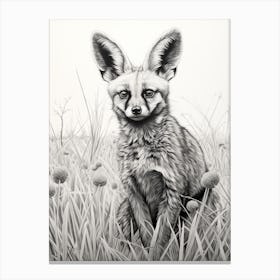 Bat Eared Fox In A Field Pencil Drawing 4 Canvas Print
