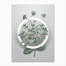 Vintage Blue Marguerite Plant Minimalist Botanical Geometric Circle on Soft Gray Canvas Print