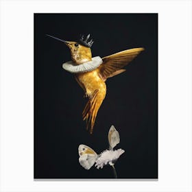 Golden Hummingbird with Crown Canvas Print