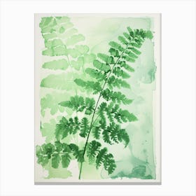 Green Ink Painting Of A Southern Maidenhair Fern 1 Canvas Print