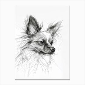 Papillon Dog Charcoal Line 3 Canvas Print