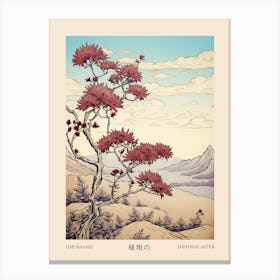 Omurasaki Japanese Aster 1 Vintage Japanese Botanical Poster Canvas Print