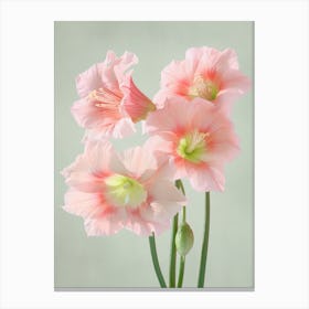 Amaryllis Flowers Acrylic Pastel Colours 1 Canvas Print