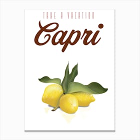 Take a Vacation Capri Canvas Print