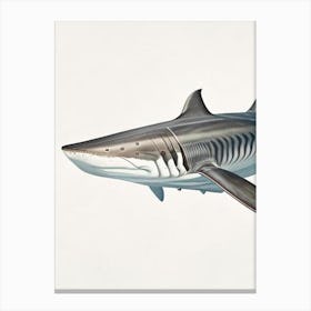 Sixgill Shark 2 Vintage Canvas Print