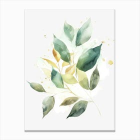 Watercolor Leaves 12 Canvas Print