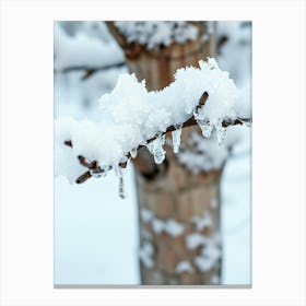 Winter landscape Canvas Print