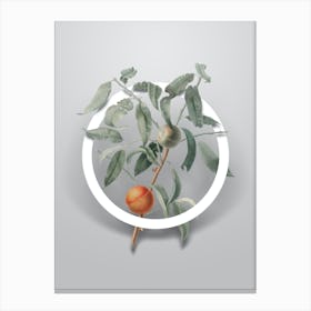 Vintage Peach Minimalist Flower Geometric Circle on Soft Gray n.0128 Canvas Print