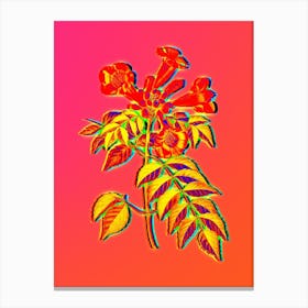 Neon Trumpet Vine Botanical in Hot Pink and Electric Blue n.0322 Canvas Print