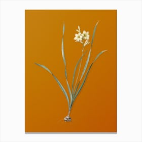 Vintage Gladiolus Lineatus Botanical on Sunset Orange n.0165 Canvas Print